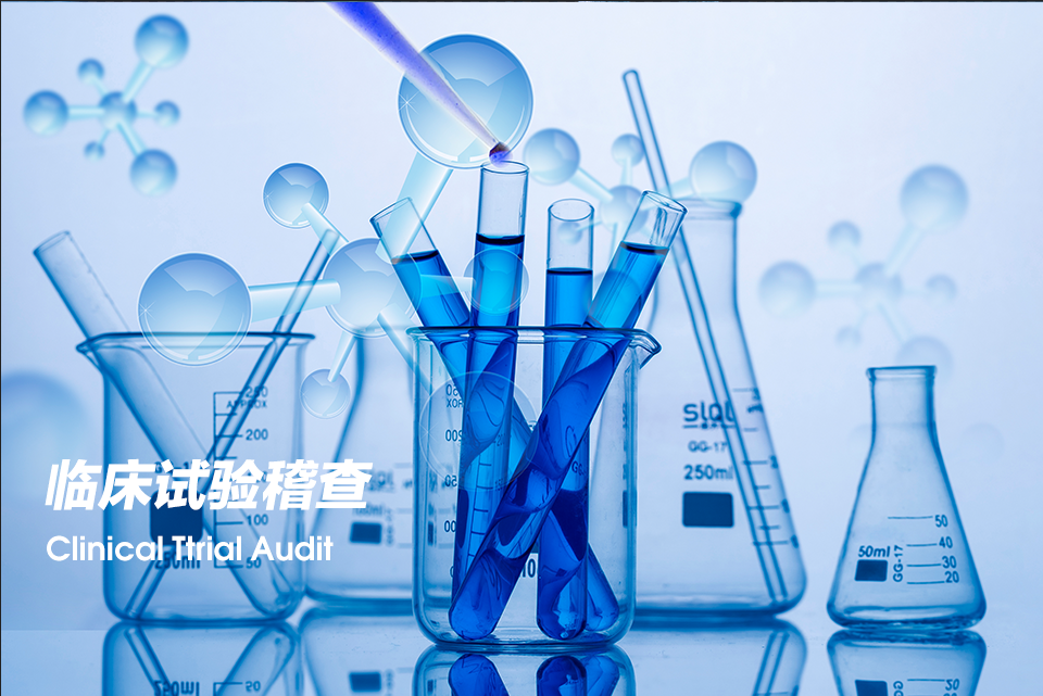 Clinical Ttrial Audit