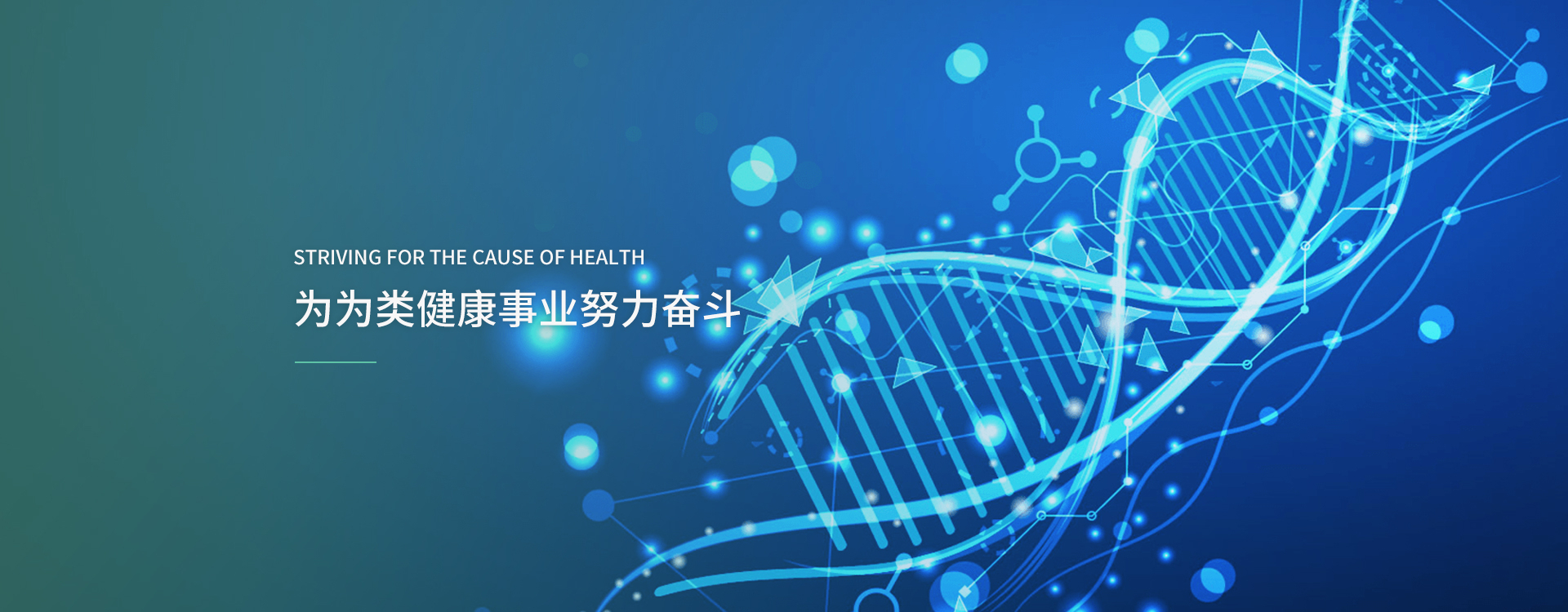 各省医疗器械许可备案相关信息（截至2024年10月31日）